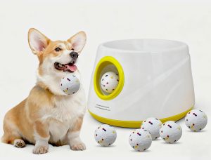 狗狗自动发球器 图片