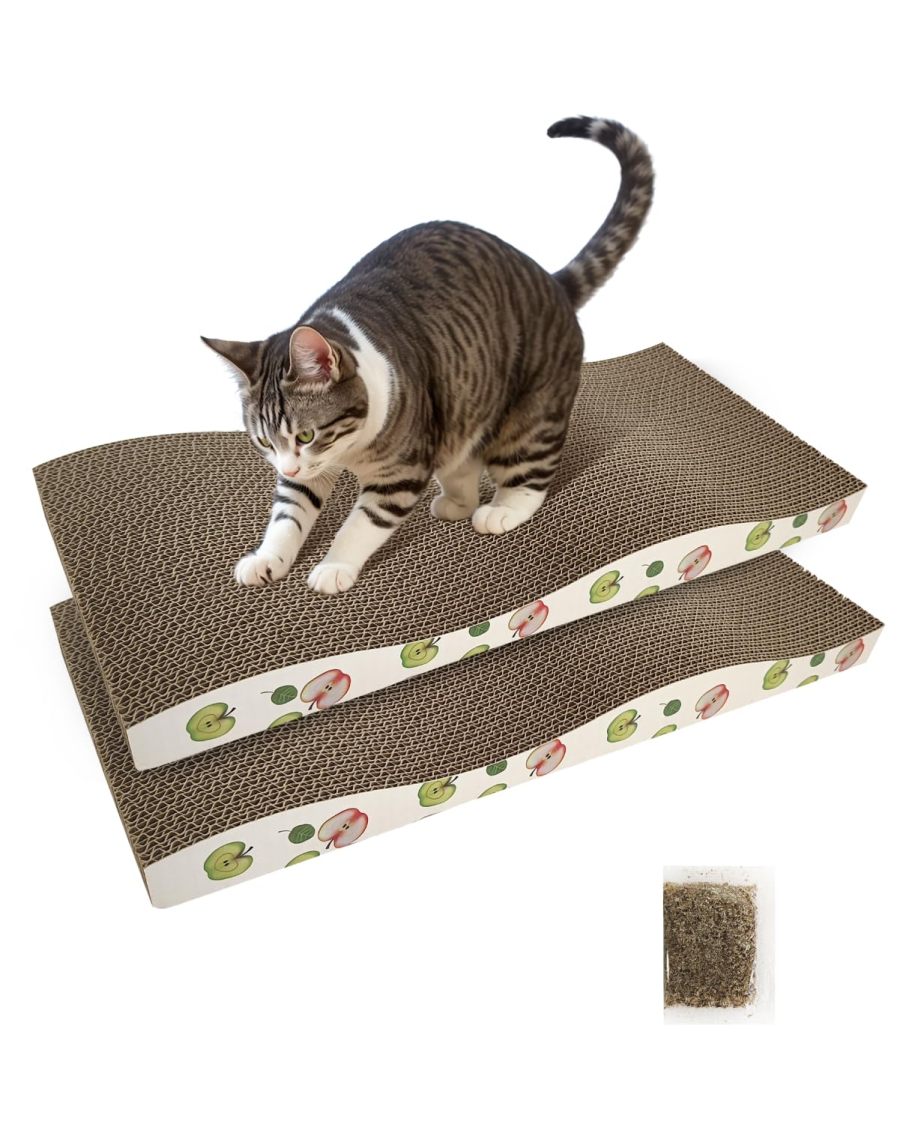 猫抓纸板
