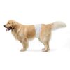 Amazon Basics 公犬尿布 B07283JXS4